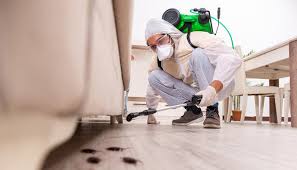 Best Real Estate Pest Inspections  in Cisco, TX